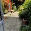 Photo 4: Garden