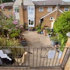 Photo 7: Front garden