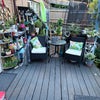 Photo 6: Garden patio