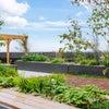 Photo 13: Communal building terrace