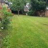 Photo 9: Garden