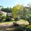 Photo 12: Communal courtyard-garden