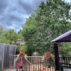 Photo 6: Garden