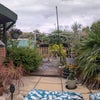 Photo 9: Garden Area