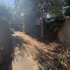 Photo 10: Garden