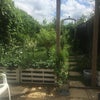 Photo 7: Garden