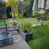 Photo 8: garden