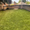 Photo 7: Garden