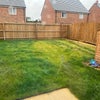 Photo 9: Garden