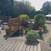 Photo 9: garden