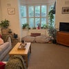 Photo 5: Living room