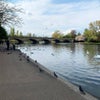 Photo 4: Hyde Park