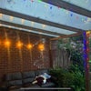 Photo 4: Garden patio 