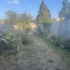 Photo 9: Garden