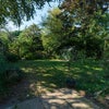 Photo 9: The Garden
