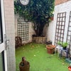 Photo 3: Our garden