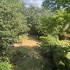 Photo 4: garden
