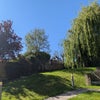 Photo 4: Front communal garden