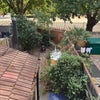 Photo 5: Garden ( hammock, eliptical - feel free to use)