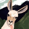 Ken\'s picture