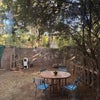 Photo 6: Backyard