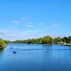 Photo 12: Hyde park