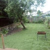 Photo 9: Communal Garden