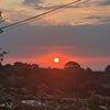 Photo 8: Sun rise from garden 
