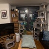 Photo 4: Living room