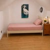 Photo 6: single bedroom 