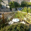 Photo 9: Tenant's garden