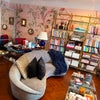 Photo 11: Refurbished living room 
