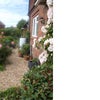 Photo 7: Roses around the door. 