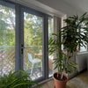 Photo 9: balcony 
