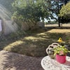 Photo 4: South facing garden 
