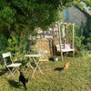 Photo 7: The Cats 