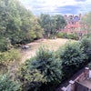 Photo 6: Our garden out back!