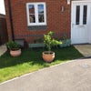 Photo 4: Not quite as green now!!