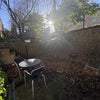Photo 8: Back Garden