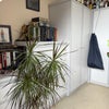 Photo 3: Bedroom