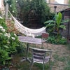 Photo 9: Garden with hammock