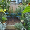 Photo 8: Garden