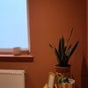 Photo 6: white a little shelf or wardrobe in that corner