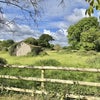 Photo 9: View across the paddock from the back garden