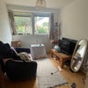 Photo 4: Living Room