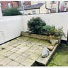 Photo 8: Garden 