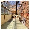 Photo 8: Decking