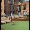 Photo 3: Garden roof terrace