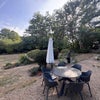 Photo 4: garden