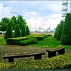 Photo 7: Gardens across the road